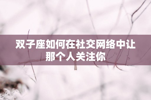 双子座如何在社交网络中让那个人关注你