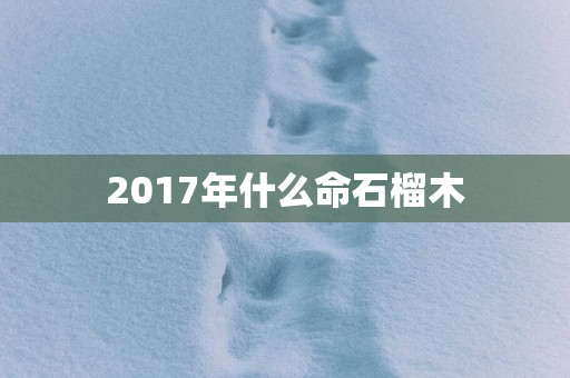 2017年什么命石榴木