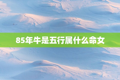 85年牛是五行属什么命女