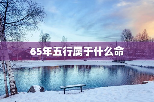 65年五行属于什么命