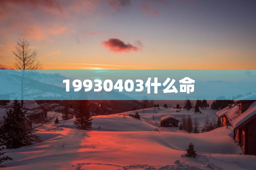 19930403什么命
