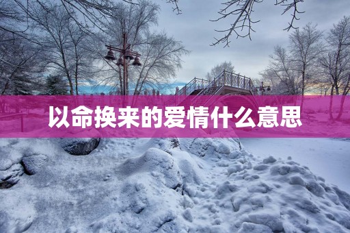以命换来的爱情什么意思
