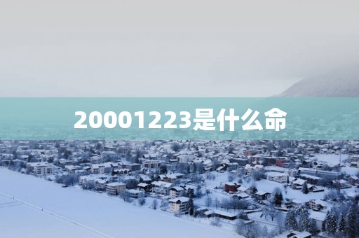 20001223是什么命