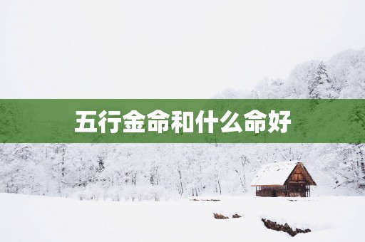 五行金命和什么命好