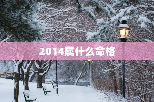 2014属什么命格