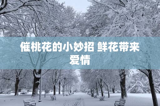 催桃花的小妙招 鲜花带来爱情