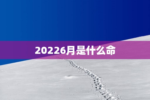 20256月是什么命