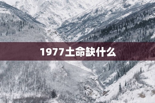 1977土命缺什么