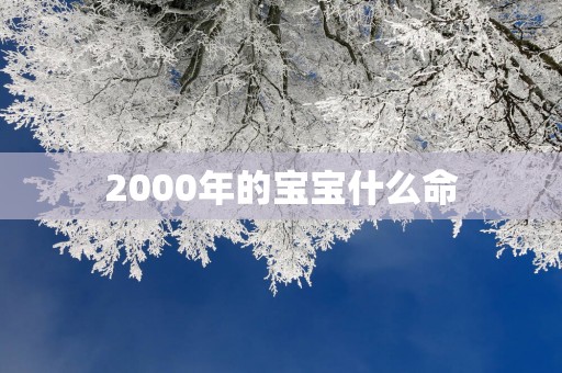 2000年的宝宝什么命