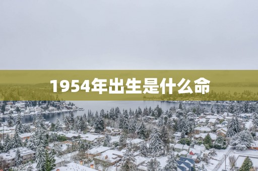 1954年出生是什么命