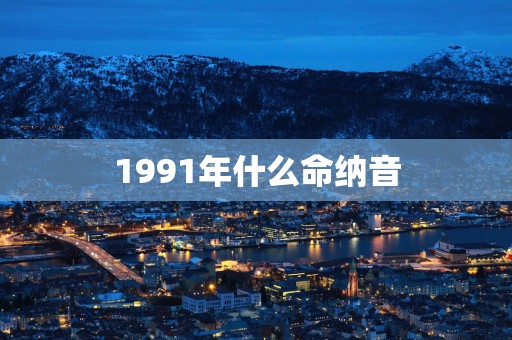 1991年什么命纳音