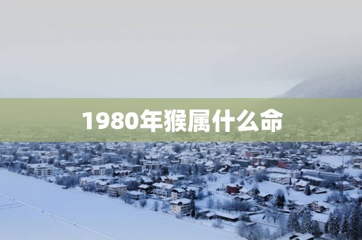 1980年猴属什么命