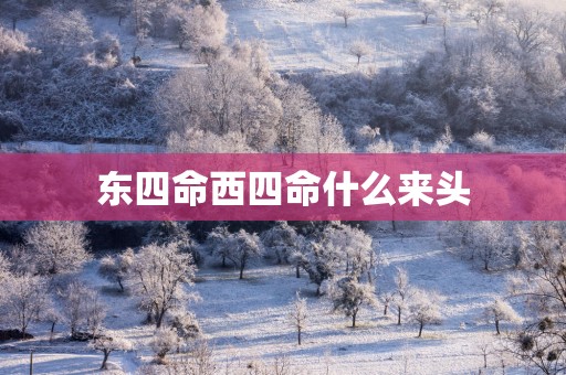 东四命西四命什么来头