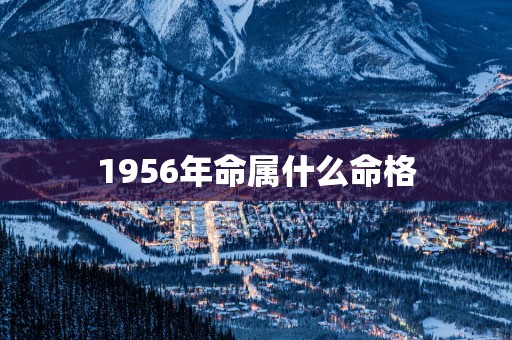 1956年命属什么命格