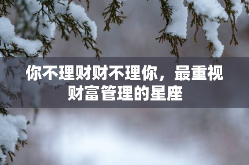 你不理财财不理你，最重视财富管理的星座