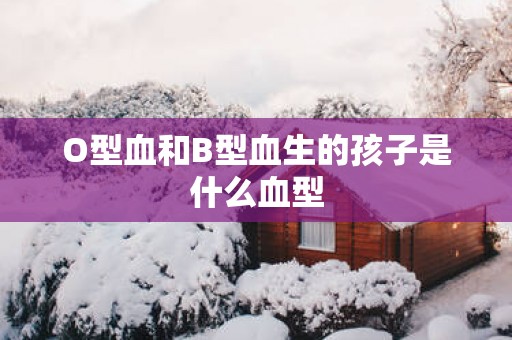 O型血和B型血生的孩子是什么血型