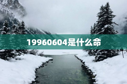 19960604是什么命