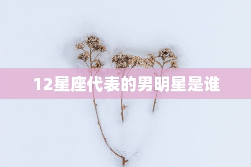 12星座代表的男明星是谁