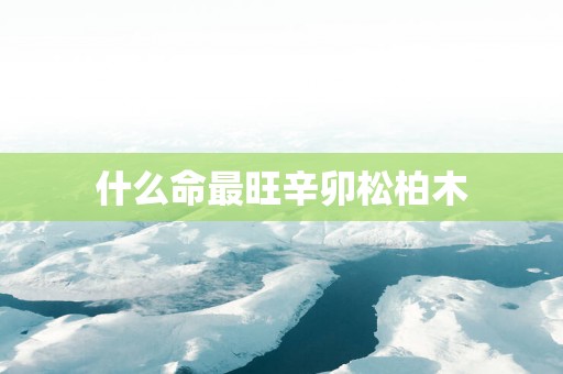 什么命最旺辛卯松柏木