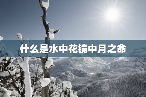 什么是水中花镜中月之命