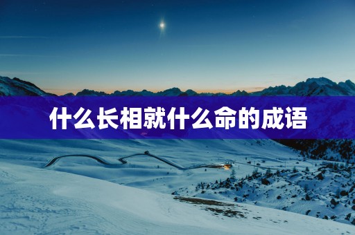 什么长相就什么命的成语