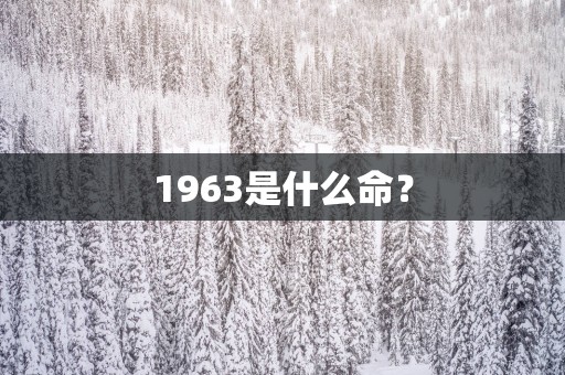 1963是什么命？