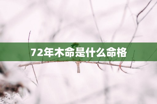 72年木命是什么命格