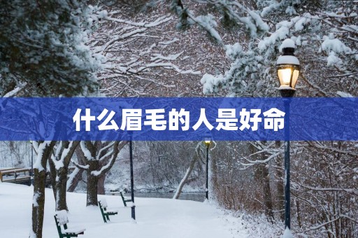 什么眉毛的人是好命