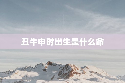 丑牛申时出生是什么命