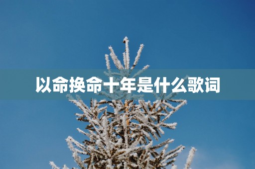 以命换命十年是什么歌词