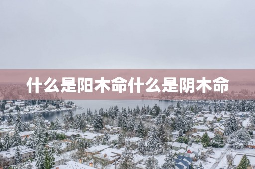 什么是阳木命什么是阴木命