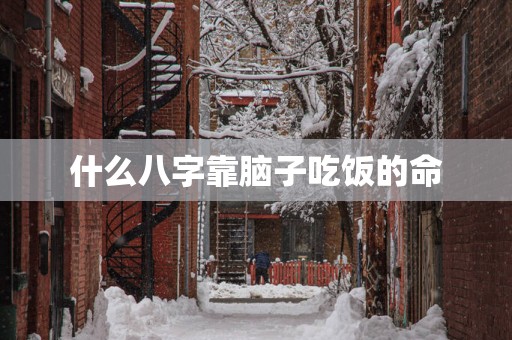 什么八字靠脑子吃饭的命