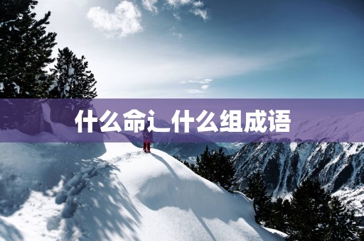 什么命辶什么组成语