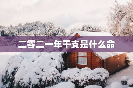 二零二一年干支是什么命