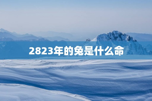 2823年的兔是什么命