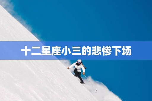 十二星座小三的悲惨下场