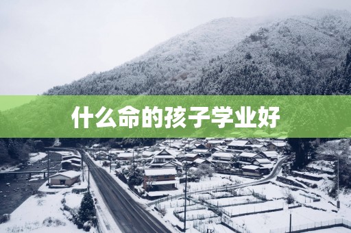 什么命的孩子学业好