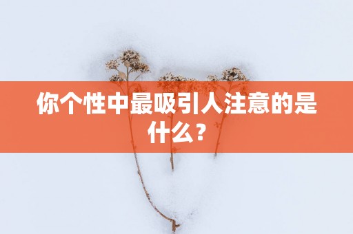 你个性中最吸引人注意的是什么？