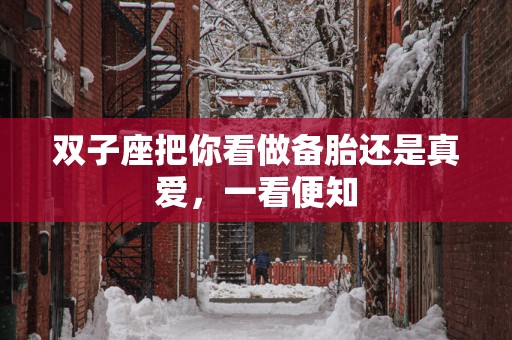 双子座把你看做备胎还是真爱，一看便知