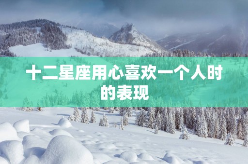 十二星座用心喜欢一个人时的表现