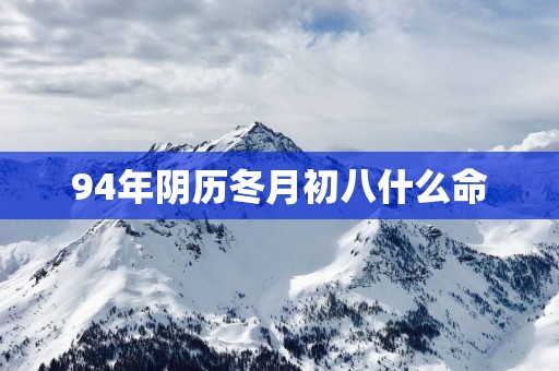 94年阴历冬月初八什么命