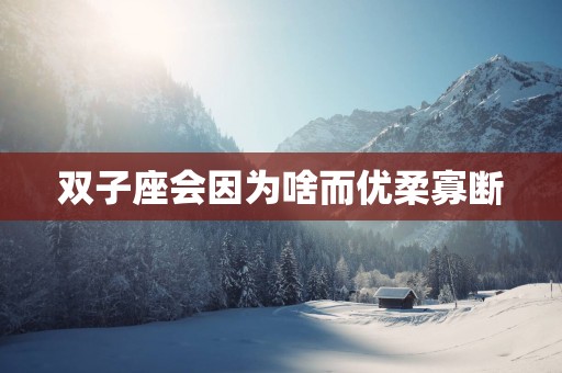 双子座会因为啥而优柔寡断