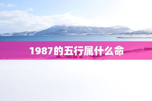 1987的五行属什么命