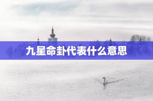 九星命卦代表什么意思