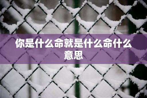 你是什么命就是什么命什么意思