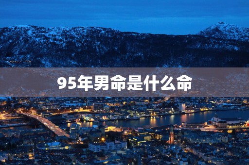 95年男命是什么命