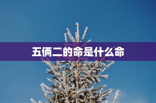 五俩二的命是什么命