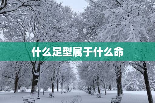 什么足型属于什么命