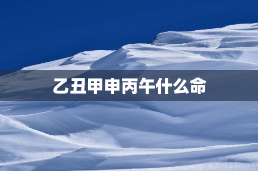 乙丑甲申丙午什么命