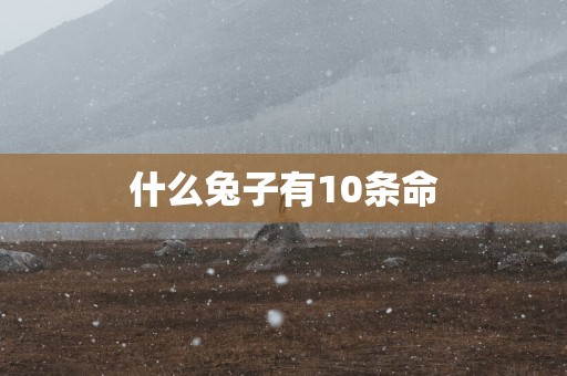 什么兔子有10条命